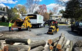 Best Emergency Tree Removal  in South Dennis, NJ